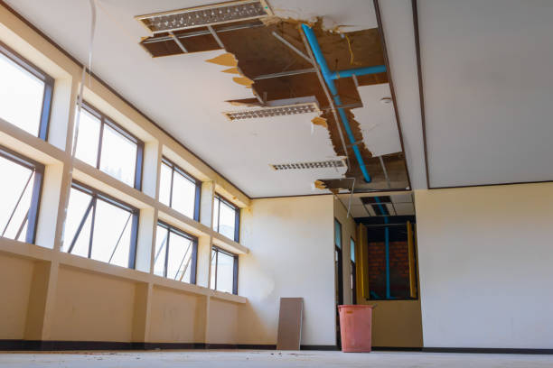 Best Water damage cleanup near me  in Glenmora, LA