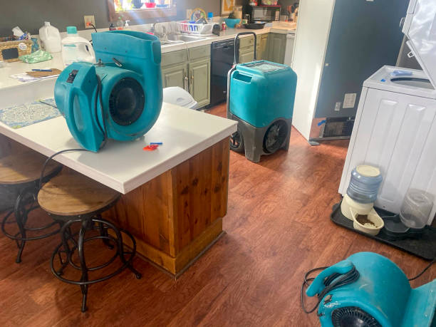 Best Water damage restoration near me  in Glenmora, LA