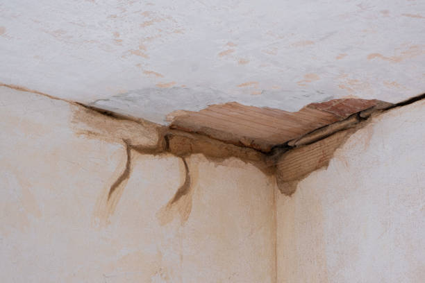 Best Carpet water damage restoration  in Glenmora, LA