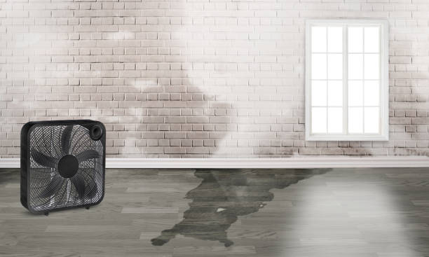 Professional Water damage restoration in Glenmora, LA