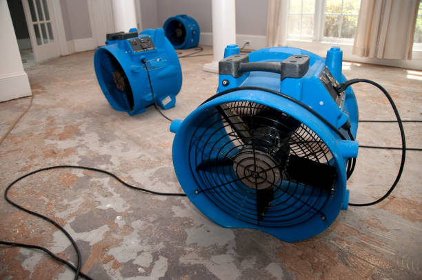 Best Flood damage cleanup  in Glenmora, LA