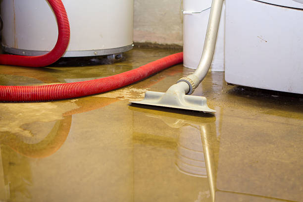 Best Ceiling water damage repair  in Glenmora, LA