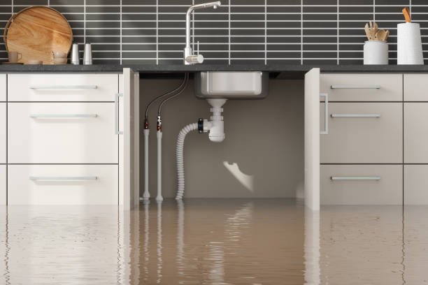 Best Water damage restoration company  in Glenmora, LA